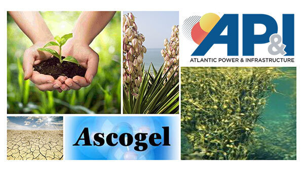 Ascogel