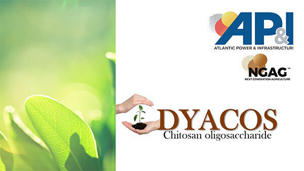 Dyacos